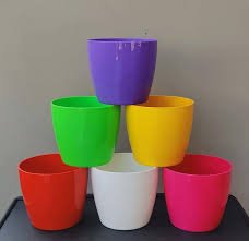 Cactus pots