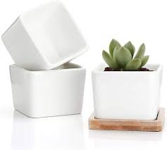 Square pot
